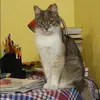 Отзыв от Валентина Сазонова